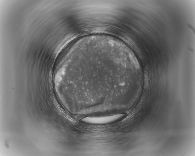 X0000102040798200808151405