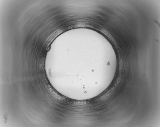 X0000102040801200808151405