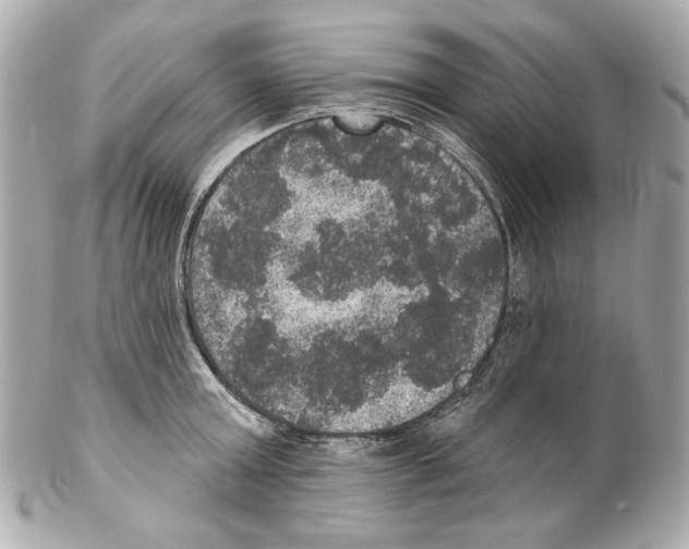 X0000102040803200808151405