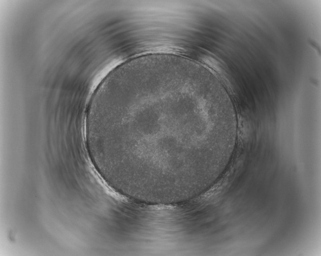 X0000102040804200808151405