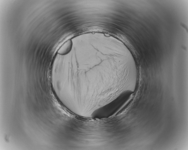 X0000102040806200808151405