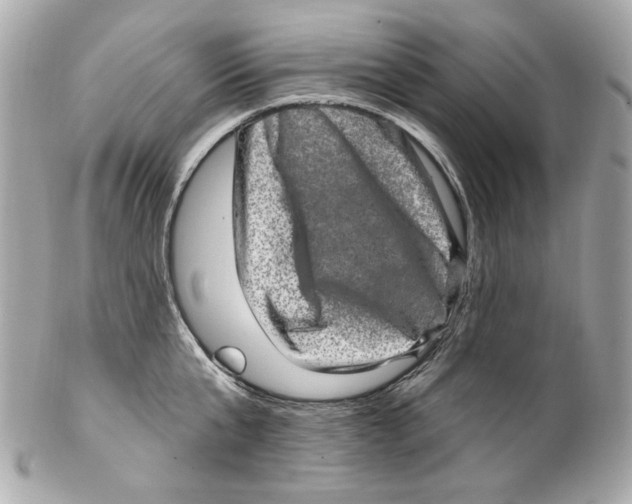 X0000102040807200808151405