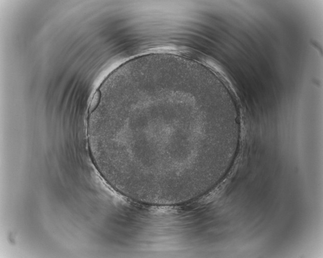 X0000102040808200808151405