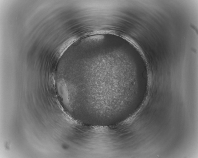 X0000102040809200808151405