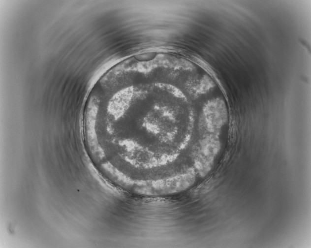 X0000102040811200808151405
