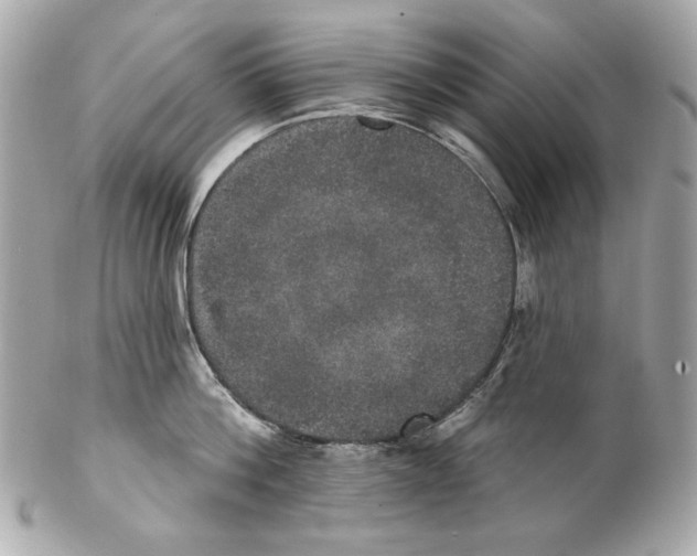 X0000102040812200808151405