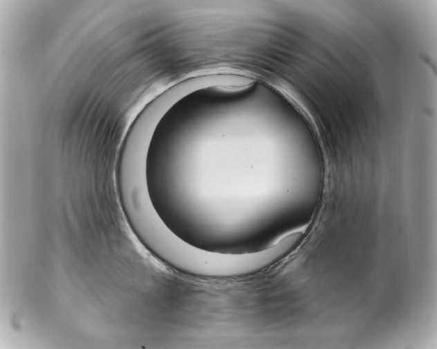 X0000102040813200808151405