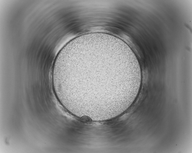 X0000102040814200808151405