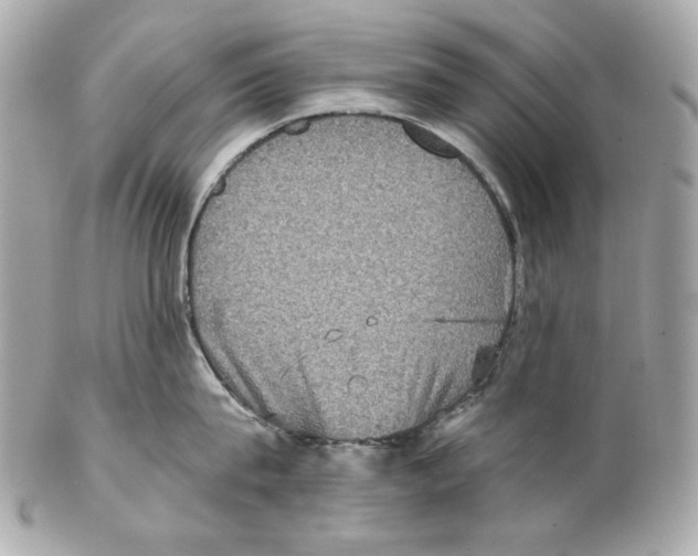 X0000102040815200808151405