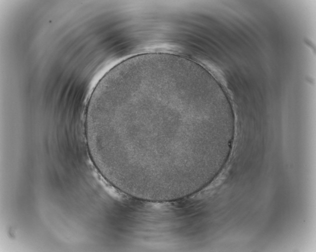 X0000102040816200808151405