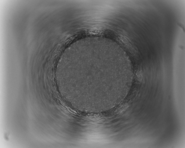 X0000102040817200808151404