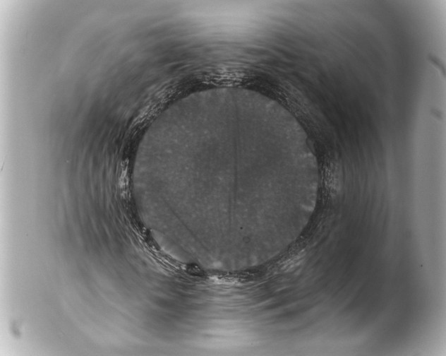 X0000102040818200808151404