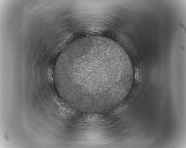 X0000102040819200808151404