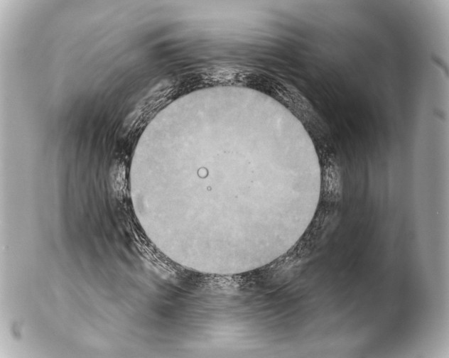 X0000102040820200808151404