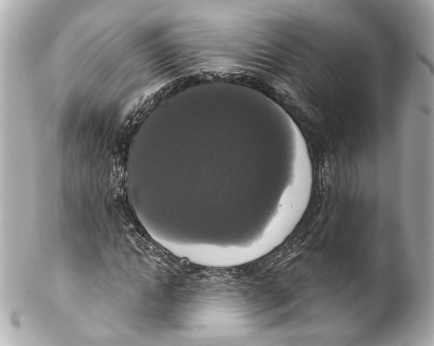 X0000102040822200808151404