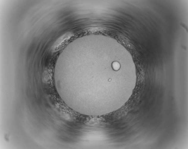 X0000102040824200808151404