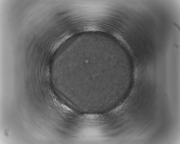 X0000102040825200808151404