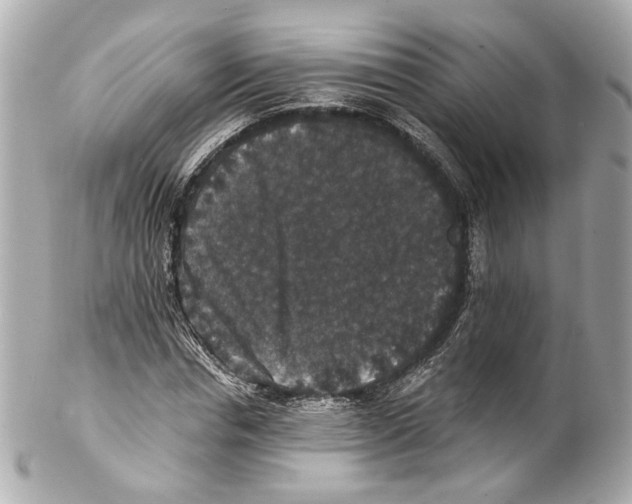 X0000102040826200808151404
