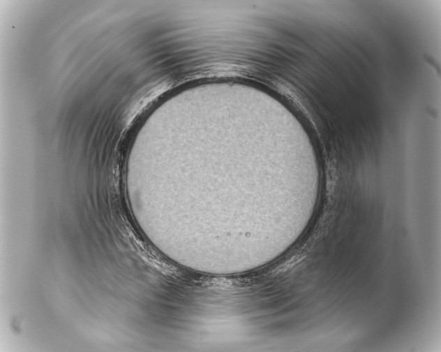 X0000102040827200808151404