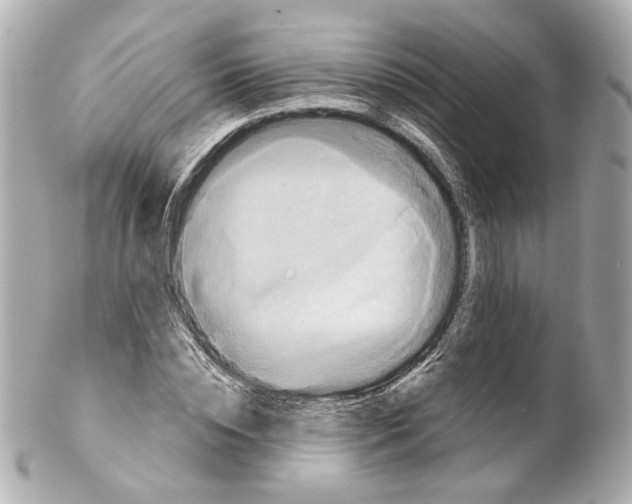 X0000102040828200808151404