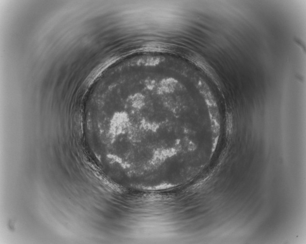 X0000102040829200808151405