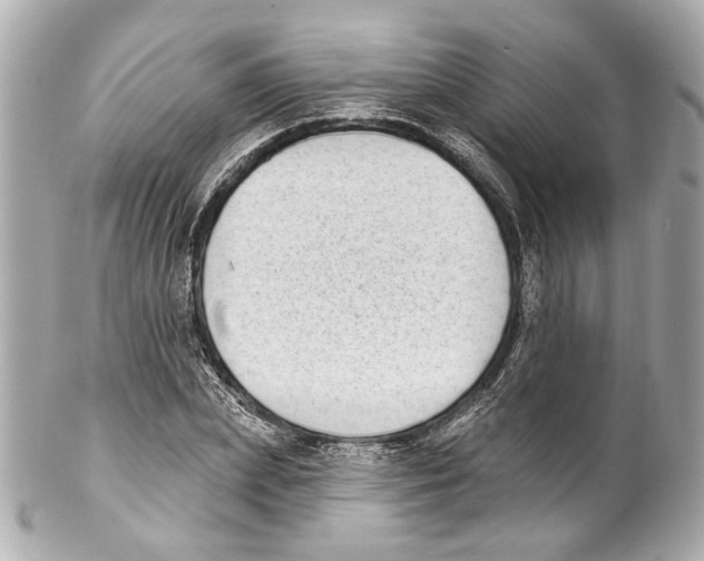 X0000102040831200808151405