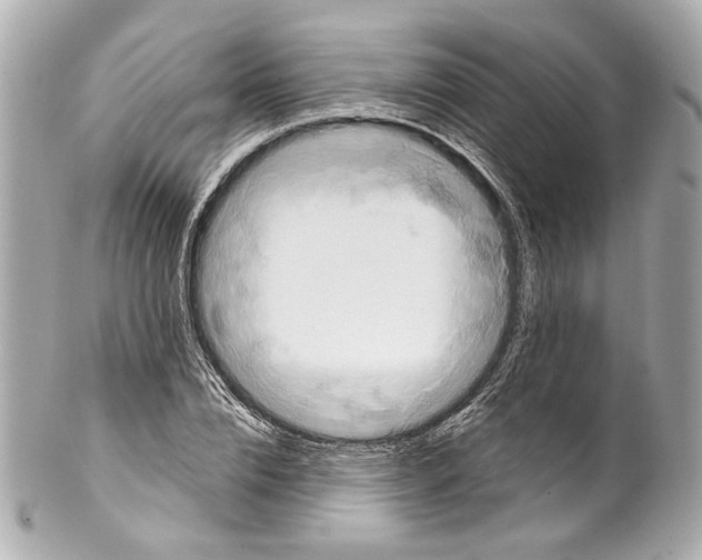 X0000102040832200808151405