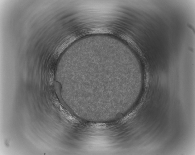 X0000102040833200808151405
