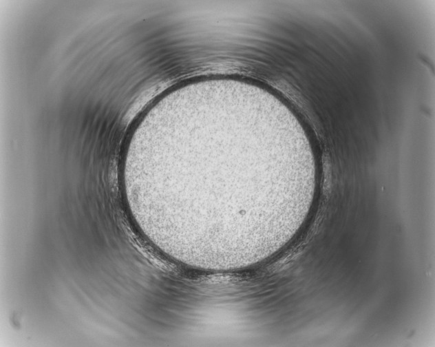 X0000102040834200808151405