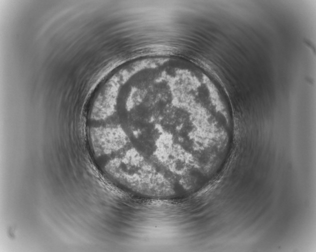 X0000102040835200808151405