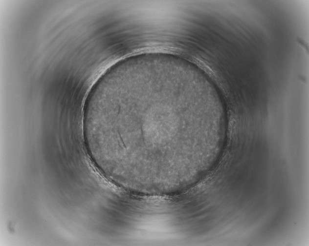 X0000102040836200808151405