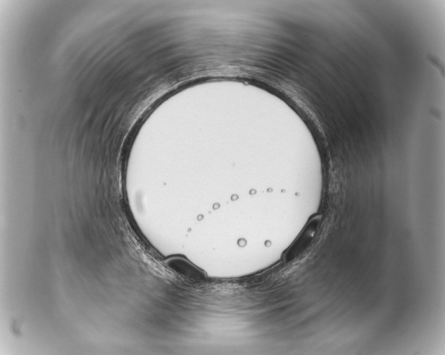 X0000102040837200808151405
