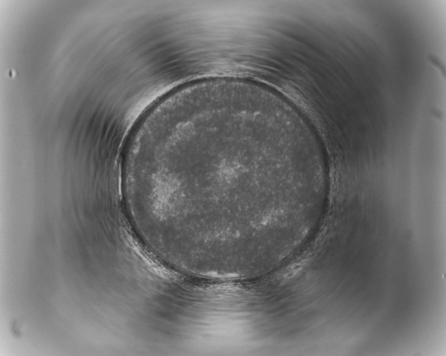 X0000102040838200808151405