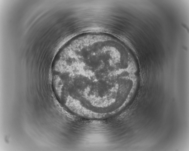 X0000102040839200808151405