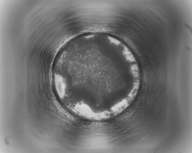 X0000102040840200808151405