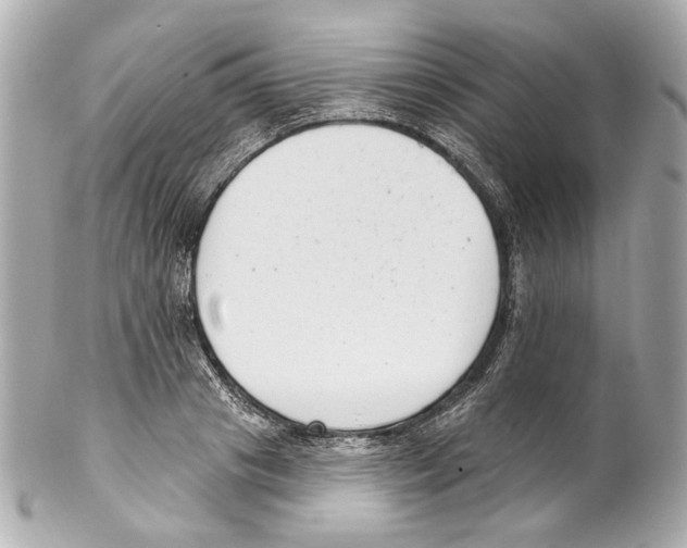 X0000102040841200808151405