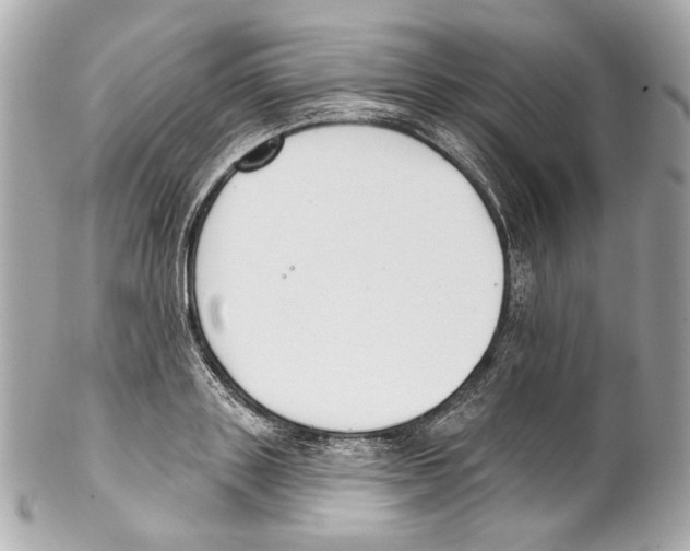 X0000102040843200808151405