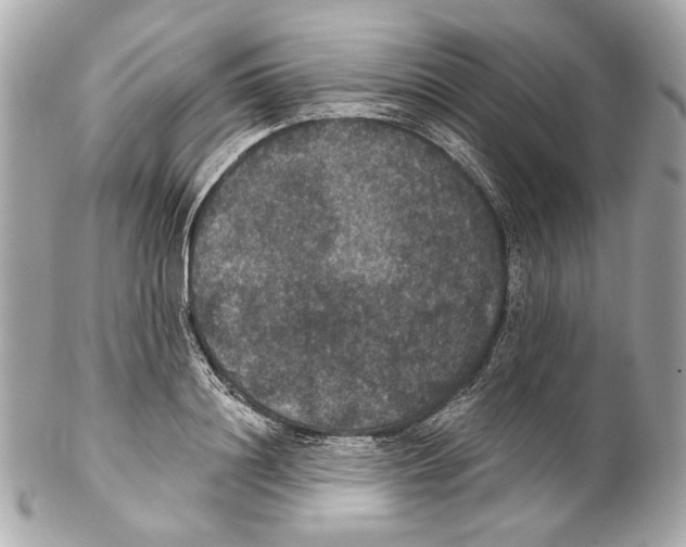 X0000102040844200808151405