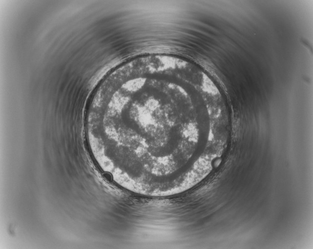 X0000102040845200808151405