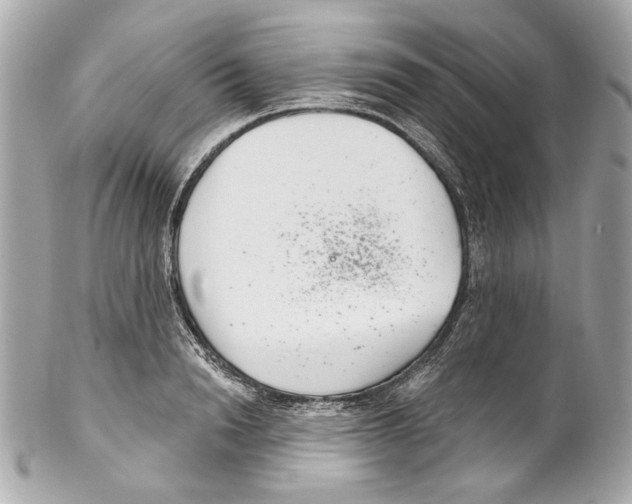 X0000102040846200808151405