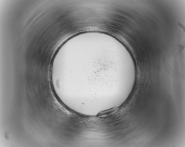 X0000102040847200808151405