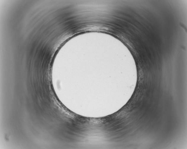 X0000102040848200808151405