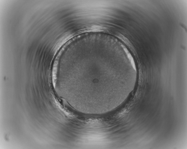X0000102040850200808151405