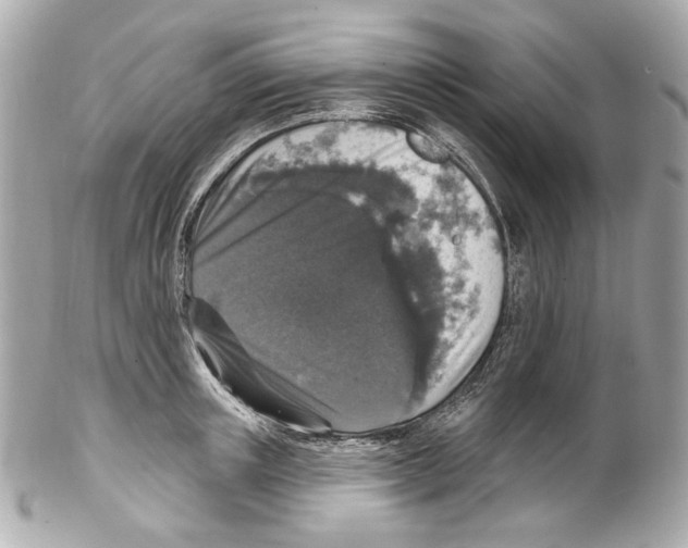 X0000102040851200808151405