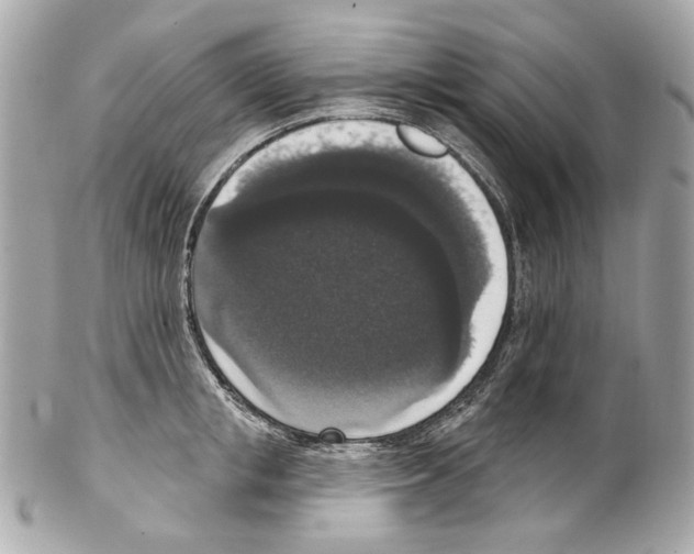 X0000102040853200808151405