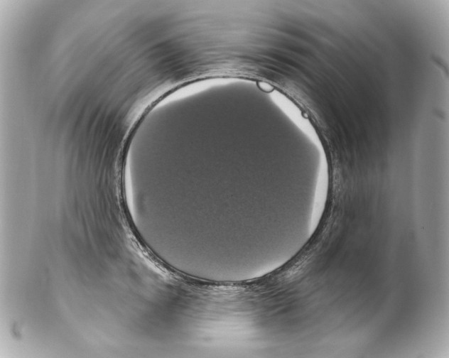 X0000102040854200808151405