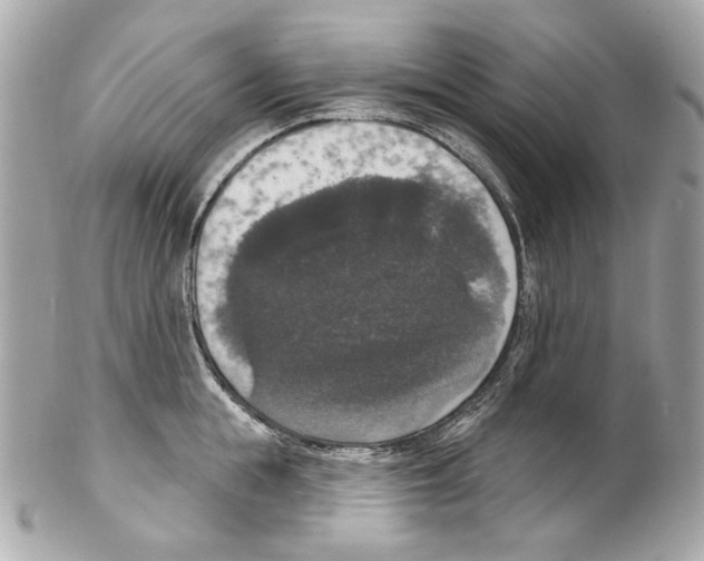 X0000102040855200808151405