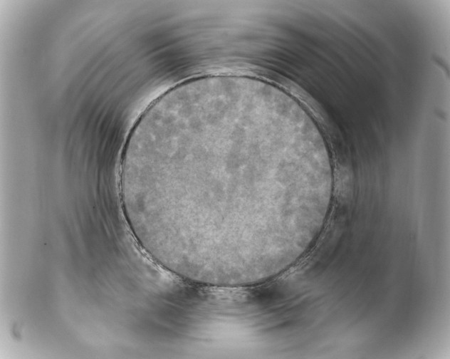 X0000102040856200808151405