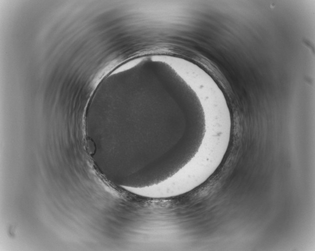 X0000102040858200808151405