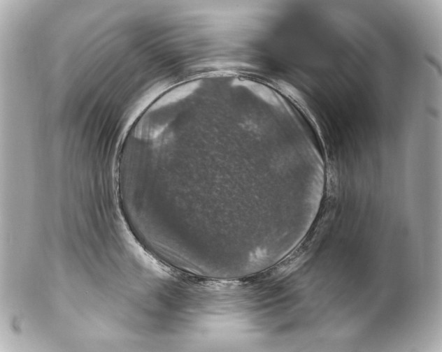 X0000102040859200808151405
